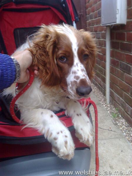 2010-08-29 03.jpg - No, I don't want to get out!